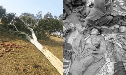 जनकपुरः हावाहुरीमा रुख ढल्दा दुई विद्यार्थीको च्यापिएर घटनास्थलमै मृत्यू