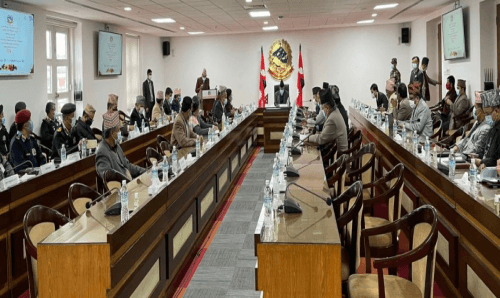 MCC को निर्णयः तत्काल भीड नगर्न पहल गरिने, स्मार्ट लकडाउनसम्म जान सकिने !