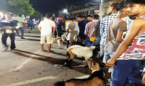 जनकपुरको राजदेवीमा बोकाबली सुरु, एक मिनेटमा ३० बोकाको बली