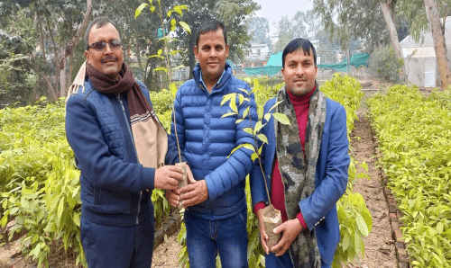 जनकपुरमा अब जग्गाको लालपूर्जासँगै विरुवा वितरण
