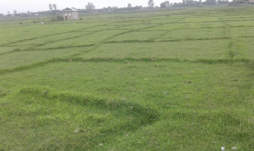 नापी भएर दर्ता रोक्का भएका छुट जग्गा पुनः दर्ता हुने
