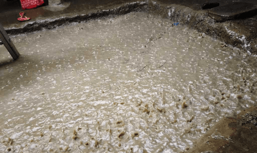 महाअष्टिमीकै दिन मुसलेधार बर्षा, शक्तिपीठहरुमा पूजा समस्या