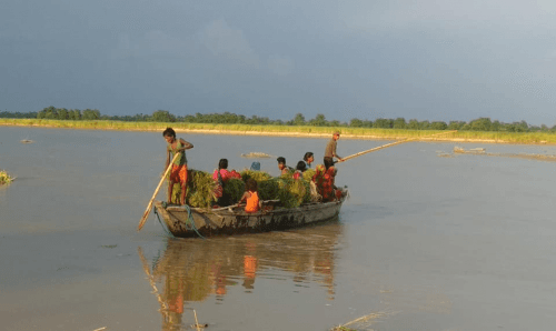 डुङगा (नाउ) दुर्घटना हुँदा १ को मृत्यु, २ घाइते