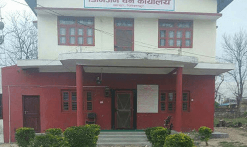 अन्ततः जँगलबाट काठ तस्करी गर्ने लामा पक्राउ