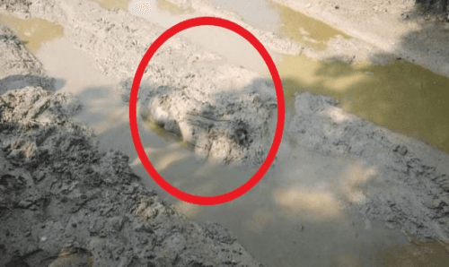 जनकपुरः बीच सडकमै हिलोमा एक व्यक्तिको लास