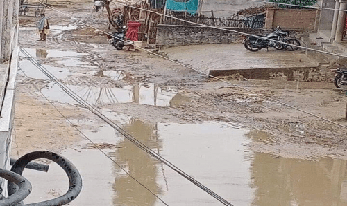 बर्षा भएपछि हिलाम्य धनुषाको धनौजी