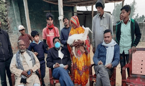 मेयरका भाइ 'लखन मास्टर' ले १० वटा बाख्रा बाँडेर १०० बाख्राको रुपैयाँ लिए