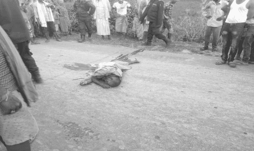 ट्रयाक्टरको ठक्करबाट एक जनाको मृत्यू