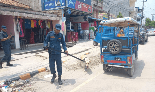 सिरहाको मतदानस्थलहरुमा प्रहरीको 'डग टोली' परिचालन, सुरक्षा चुस्त