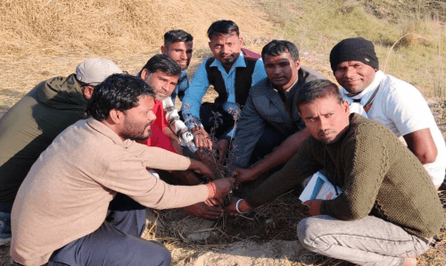 कमला बचाउ अभियानीद्धारा तुलसी रोपणगरी तुलसी पूजन दिवस मनाईयो