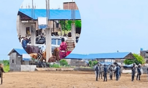 खँसी बजारको ठेक्काको लागि दुई पक्षबीच झडप, वडाध्यक्षसहित चार घाईते