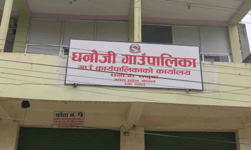 चिसो अत्यधिक बढेपछि धनौजी गाउँपालिकाका विद्यालयमा थप बिदा घोषणा