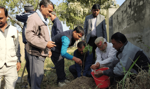पटनाको 'पीपल' जनकपुरधाममा