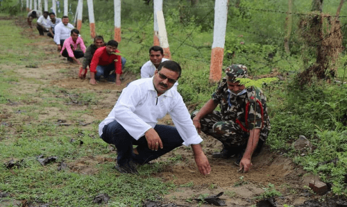 १० वर्ष यताकै यसपाली सबभन्दा बढी वृक्ष रोपियो : अभियानी शर्मा