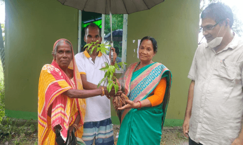 धनुषाधाम संरक्षित वनमा ५ हजार बिरुवा बितरण गरिने